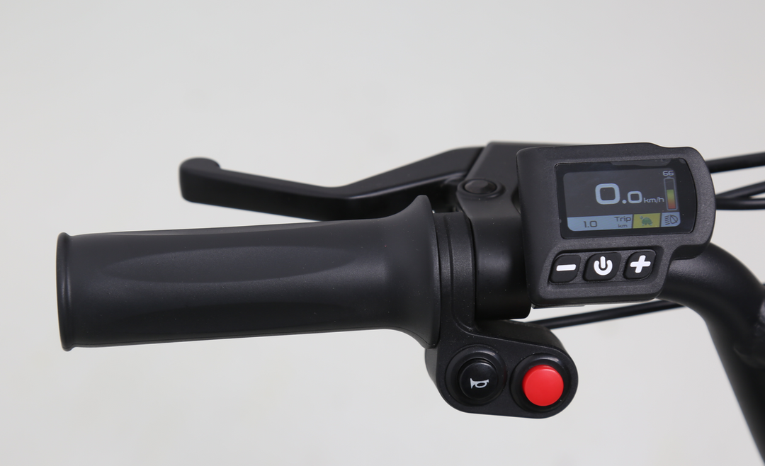 What Is A Throttle-Assist Electric Bicycle?