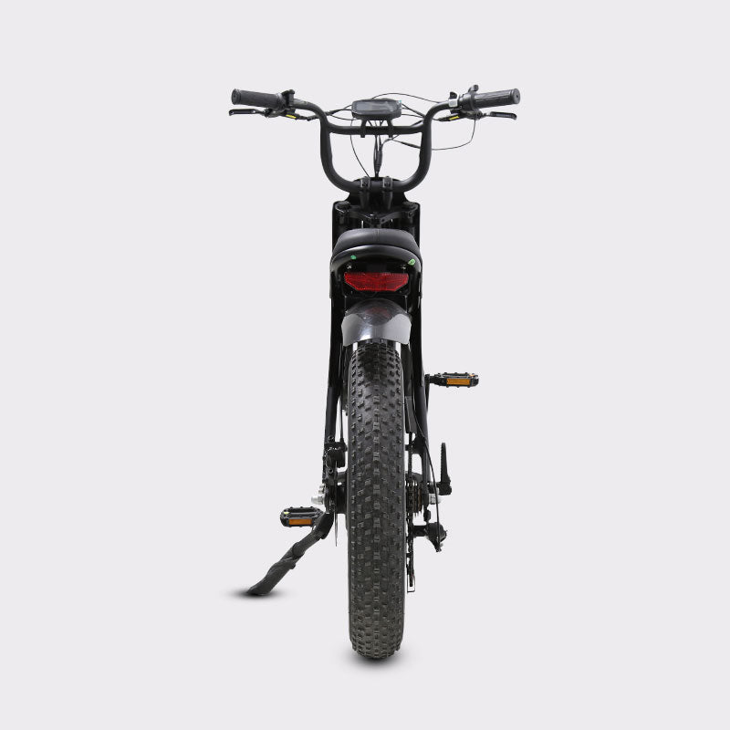Txed 9X 1500W Moped-style All Terrain Electric Bike